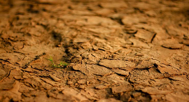 Tierra de Barros: tradición agrícola en el corazón de Extremadura
